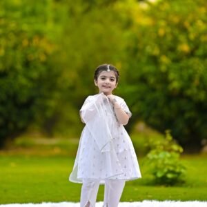 Silver Anarkali 3 Piece